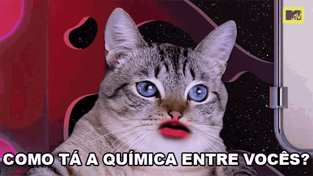 a cat with red lipstick on its lips and the words como ta a quimica entre voces below it