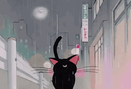 Rain Sailor GIF - Rain Sailor Moon GIFs