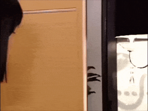a person is standing in front of a door with a plant behind them .