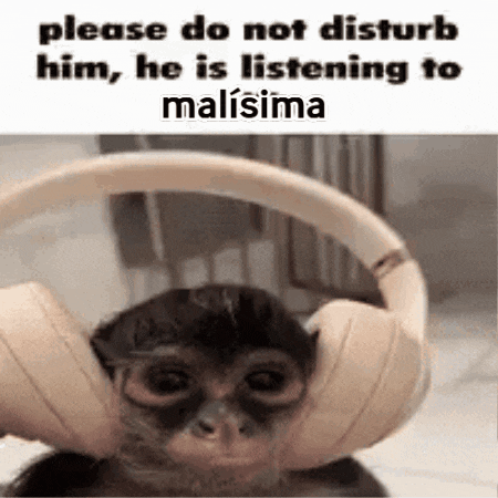 a monkey wearing headphones is listening to malisima .