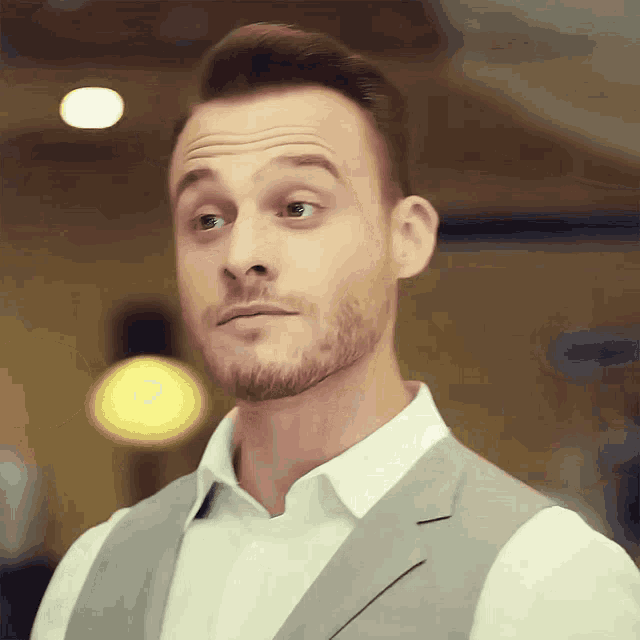 a man with a beard is wearing a white shirt and gray vest