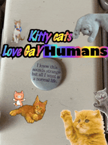 a kitty cats love gay humans sign with cats and a dog