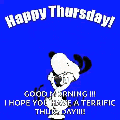 happy thursday good morning i hope you have a terrific thursday !!