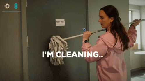 Im Cleaning Diona Doherty GIF - Im Cleaning Diona Doherty Northern Ireland GIFs