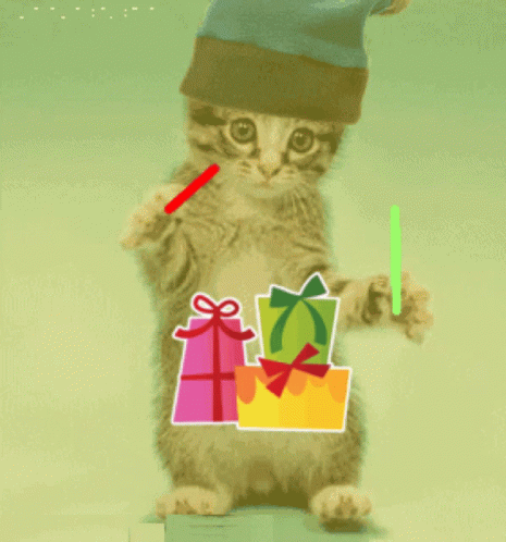 Cat Dancing GIF - Cat Dancing Christmas GIFs