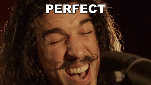 Perfect Anthony Vincent GIF - Perfect Anthony Vincent Ten Second Songs GIFs