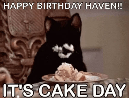 a black cat is sitting at a table with a plate of cake and the words happy birthday haven it 's cake day .