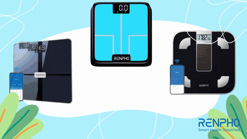 three renpho scales are displayed on a white background