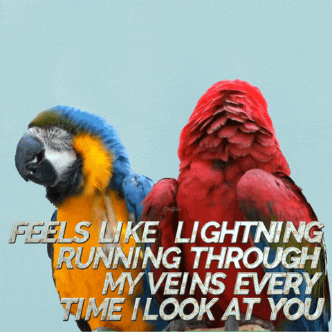 a blue and red parrot with the words feels like lightning running through my veins every time i look at you on it