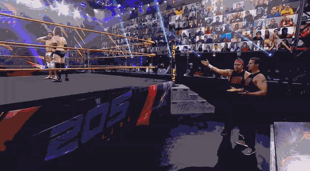 a wrestling ring with the number 202 on the wall