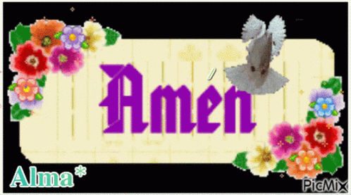 Amen Alma GIF - Amen Alma Birds GIFs