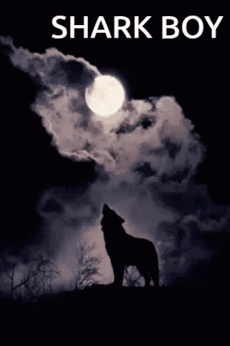a poster of a wolf howling at the full moon with the title shark boy