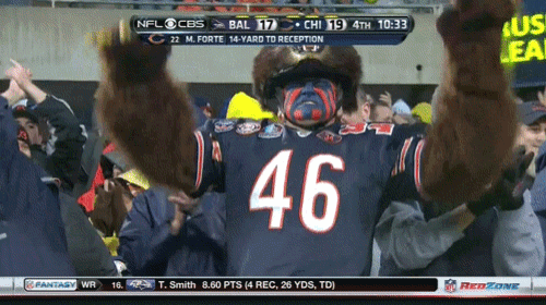 a bear with the number 46 on his jersey stands in front of a crowd