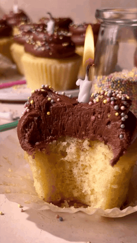 Birthday Cupcakes Dessert GIF - Birthday Cupcakes Dessert Birthday Candle GIFs