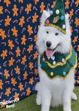a white dog is wearing a christmas tree outfit and hat