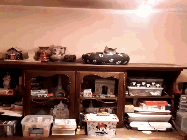 a cat is laying on a black pillow on top of a shelf with a minnie mouse box on it