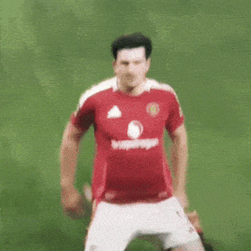 a blurry picture of a person in a red shirt in a stadium .