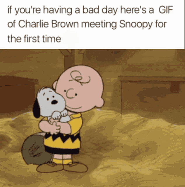 Charlie Brown Wholes GIF - Charlie Brown Wholes Snoopy GIFs