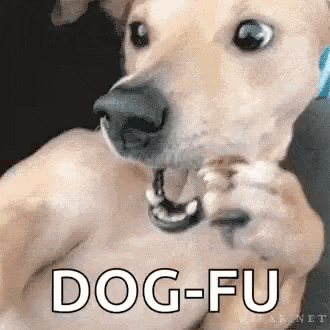 a close up of a dog with its mouth open and the word dog-fu written on it .