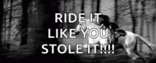Ride It Like You Stole It GIF - Ride It Like You Stole It Horseback Riding GIFs