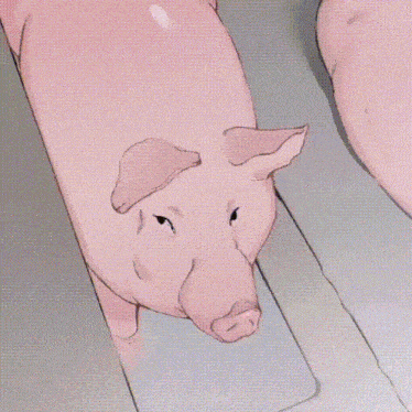 a cartoon pig drinking water from a drain
