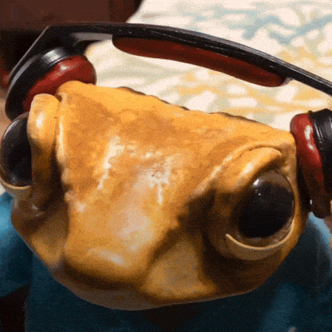 a close up of a frog wearing headphones on a bed