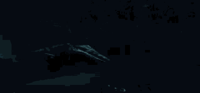 a group of dinosaurs are running through a dark forest at night .