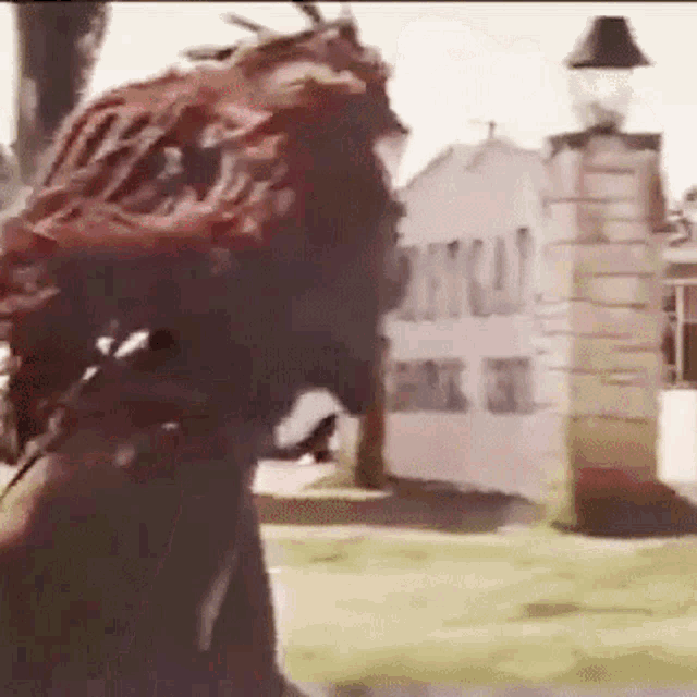 a man with dreadlocks is standing in front of a sign that says " ponytail "
