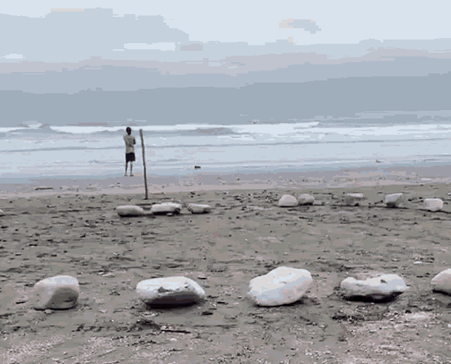 a man is standing on a pole on the beach looking at the ocean