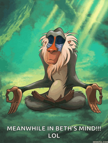 a cartoon monkey sitting in a lotus position with the words meanwhile in beth 's mind lol below it