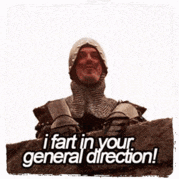 a man in a knight 's armor says " your mother was a hamster and your father smelt of elderbemes "