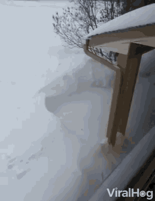 Cold Water Swimming GIF - Cold Water Swimming Snow GIFs