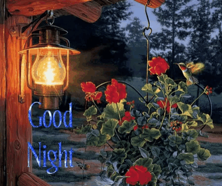 a picture of flowers and a lamp with the words good night written on it