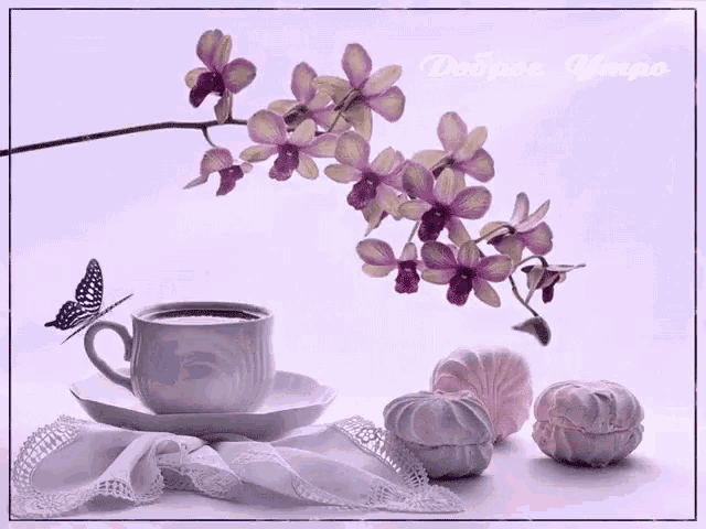 a cup of coffee sits on a saucer next to flowers and a butterfly