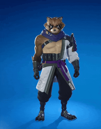 a raccoon with a purple sash around his neck stands on a blue surface