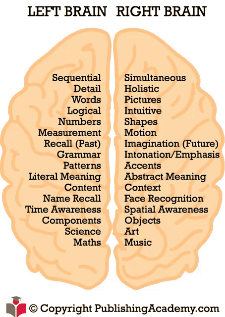 a diagram showing the left brain and right brain with a copyright publishing academy.com logo