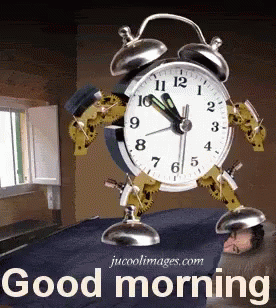 Alarm Good Morning GIF - Alarm Good Morning Wake Up GIFs
