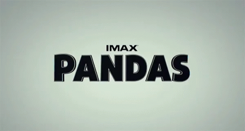 Title Movie Title GIF - Title Movie Title Pandas GIFs