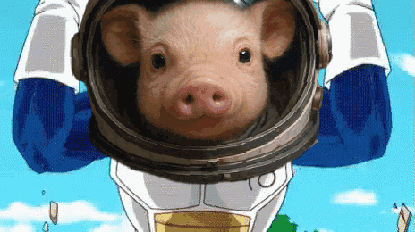 a cartoon pig is wearing a helmet and gloves .