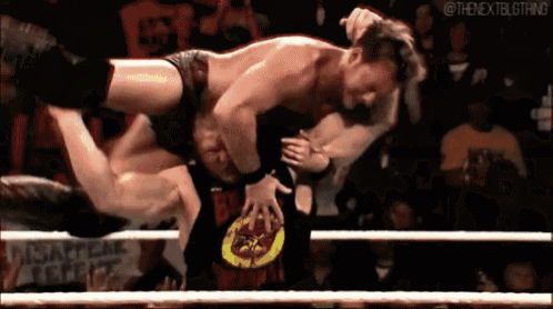 two men are wrestling in a ring with a crowd in the background .