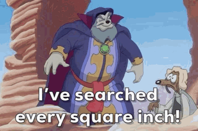 a cartoon of a wizard and a dog saying i 've searched every square inch