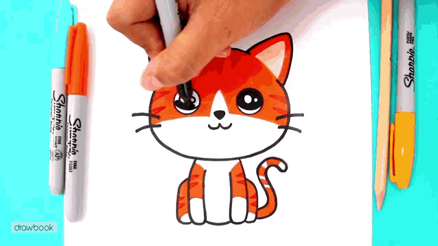 a person drawing a cat with sharpie markers