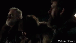 King Inthe North Game Of Thrones GIF - King Inthe North Game Of Thrones Rob Stark GIFs