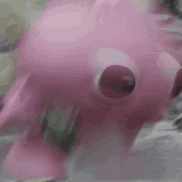 a close up of a pink toy with big eyes .