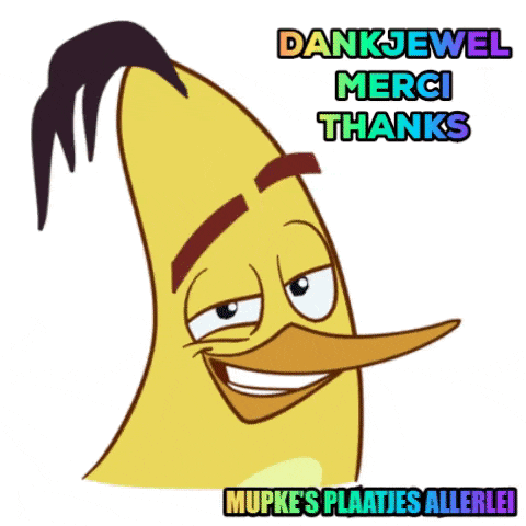 a cartoon duck with the words dankjewel merci thanks on it