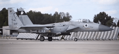 a gray fighter jet with the number 519 on the tail