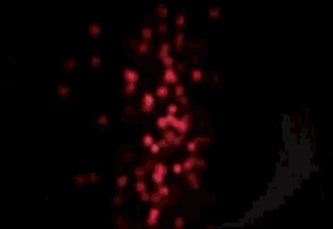 it looks like a disco ball with a lot of red lights coming out of it .