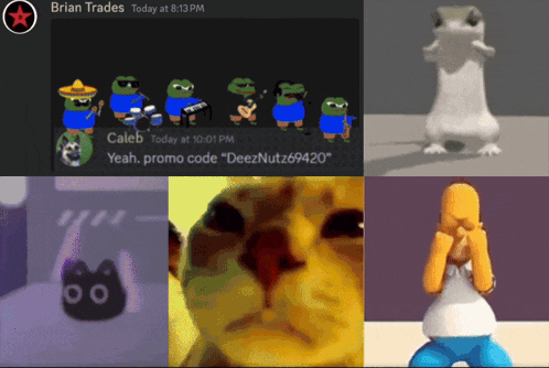a screenshot of brian trades today at 8:13 pm shows a cat a frog and a lizard