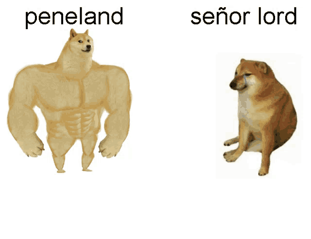 a picture of a doge and a picture of a doge with the words peneland and señor lord on it