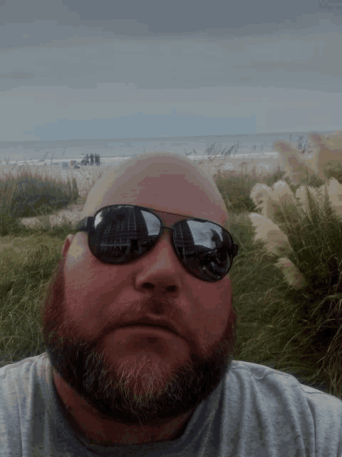 a bald man with a beard wearing sunglasses and a gray shirt